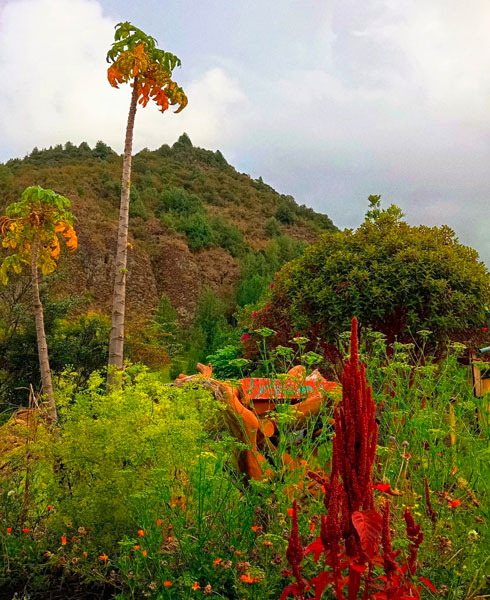 paisaje 1