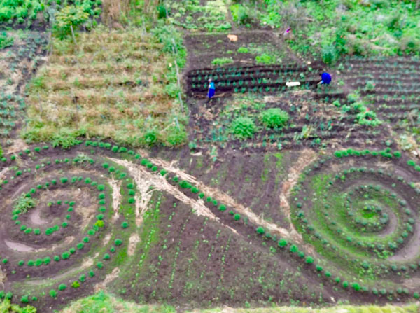 potager